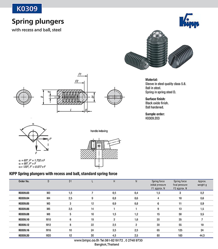 Spring plunger, pressure pin plunger, plunger